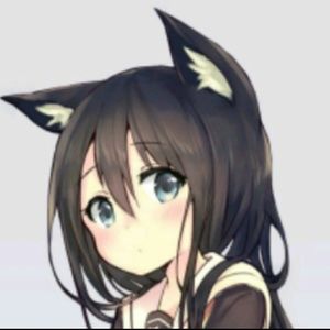 Meet your Posher, Raven! ♡